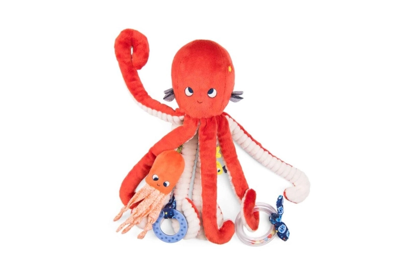 Gran Pulpo de actividades Paulie