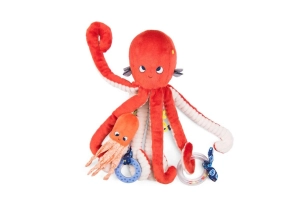 Gran Pop d'activitats Paulie