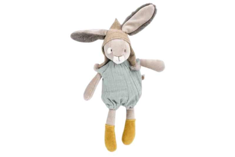 Peluix conill petit savi