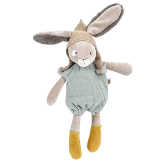 Peluix conill petit savi