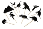 OMBRES DINOSAURES LES OMBRES DE LA NIT