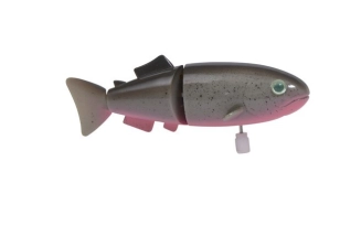 PEIX DE CORDA SALMÓ