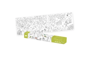 PÒSTER PER PINTAR EL BOTANISTA