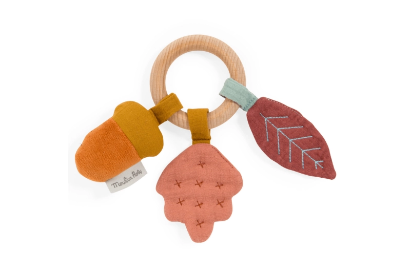 Sonall amb anella de fusta El bosc després de la p