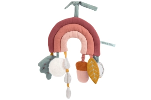 Arc de Sant Martí de roba després de la pluja