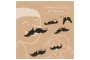 Set de 6 bigotes