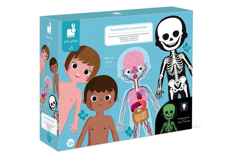 TRENCACLOSQUES EL COS HUMÀ