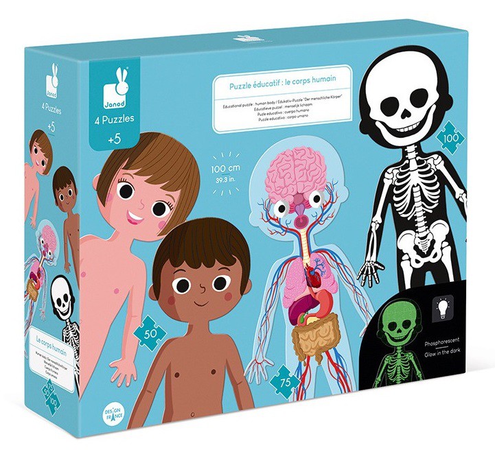 TRENCACLOSQUES EL COS HUMÀ