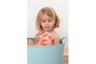 Mis esponjas marinas