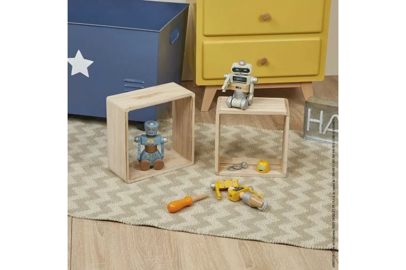 Brico'kids DIY Robots