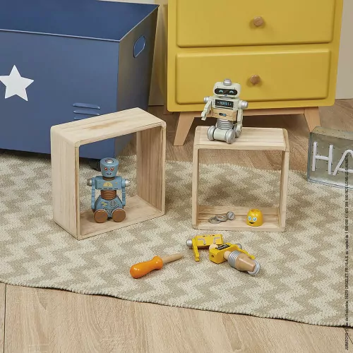 Brico'kids DIY Robots