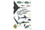 GRAN PÒSTER D'ADHESIUS ANIMALS MARINS