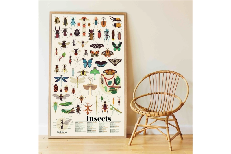 GRAN PÓSTER DE PEGATINAS LOS INSECTOS