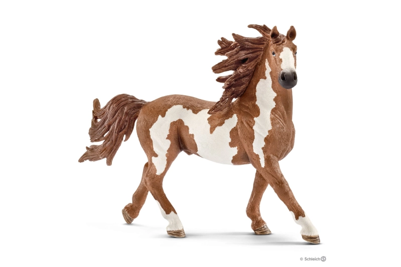 Semental pinto Schleich