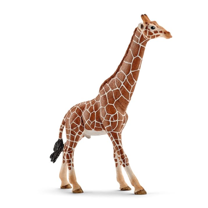Girafa mascle Schleich