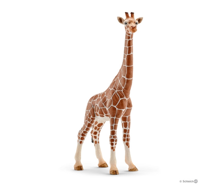 Girafa femella Schleich