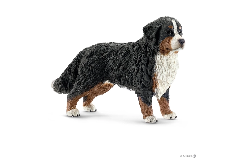 Bover de Berna Schleich