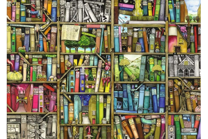 PUZZLE 1000 PIEZAS LA BIBLIOTECA EXTRAÑA