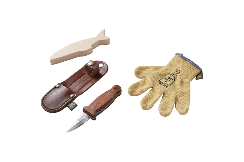 TERRA KIDS JOC DE TALLAR BÀSIC