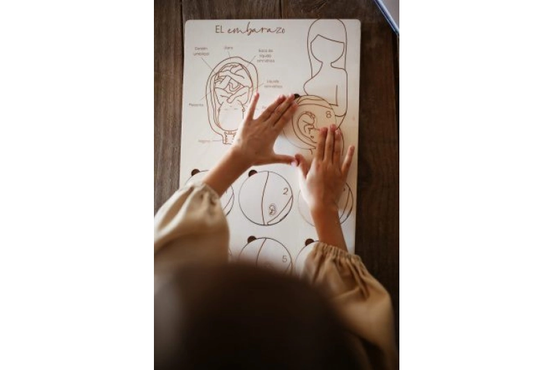 TRENCACLOSQUES D'EMBARÀS