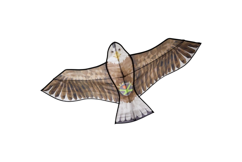 COMETA ÁGUILA