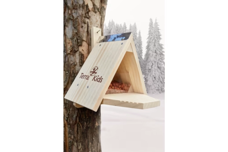 Kit de construcción de alimentadora para ardillas