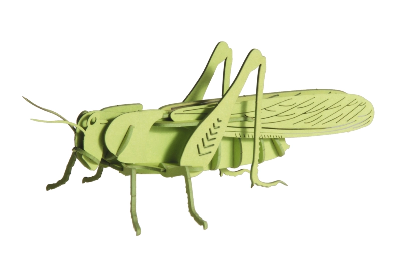 Saltamontes 3D de cartón
