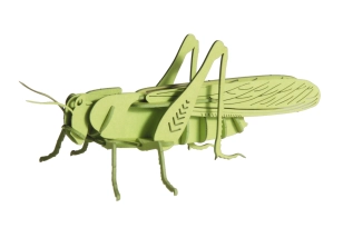 Saltamontes 3D de cartón