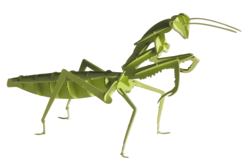 Mantis 3D de cartón