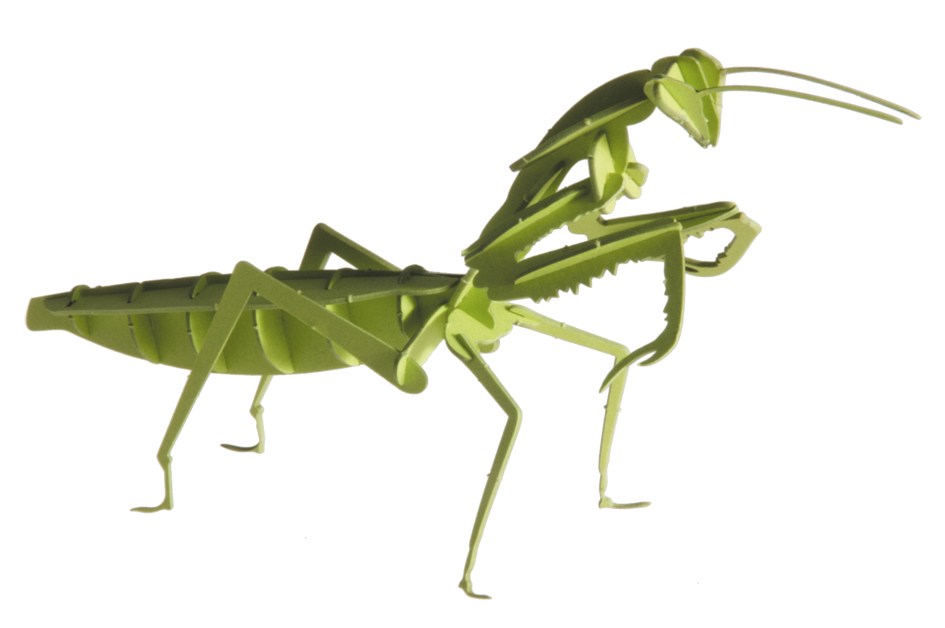 Mantis 3D de cartró