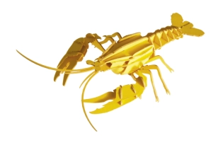 Llagosta 3D de cartró