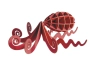 Pulpo 3D de cartón