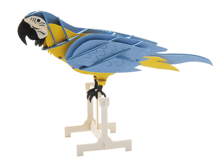 Papagai 3D de cartró