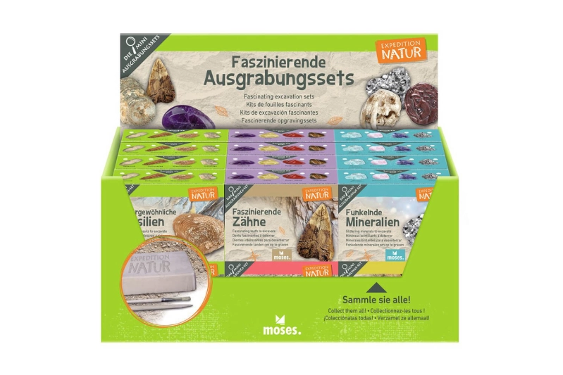 Kit d'excavació de fòsils, cristalls i minerals Ex
