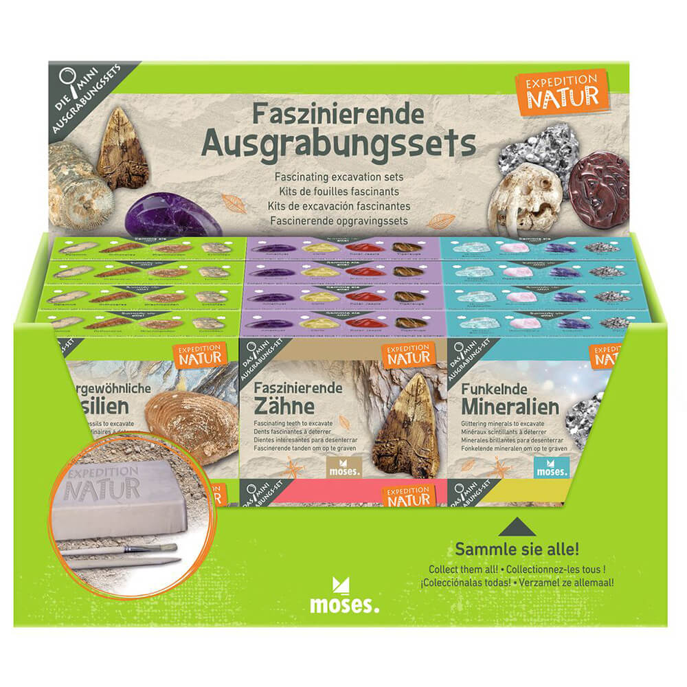 Kit d'excavació de fòsils, cristalls i minerals Ex