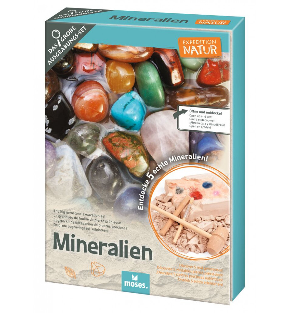 Kit d'excavació de minerals Expedition Natur