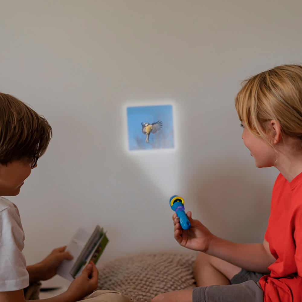 Llanterna projectora les nostres aus