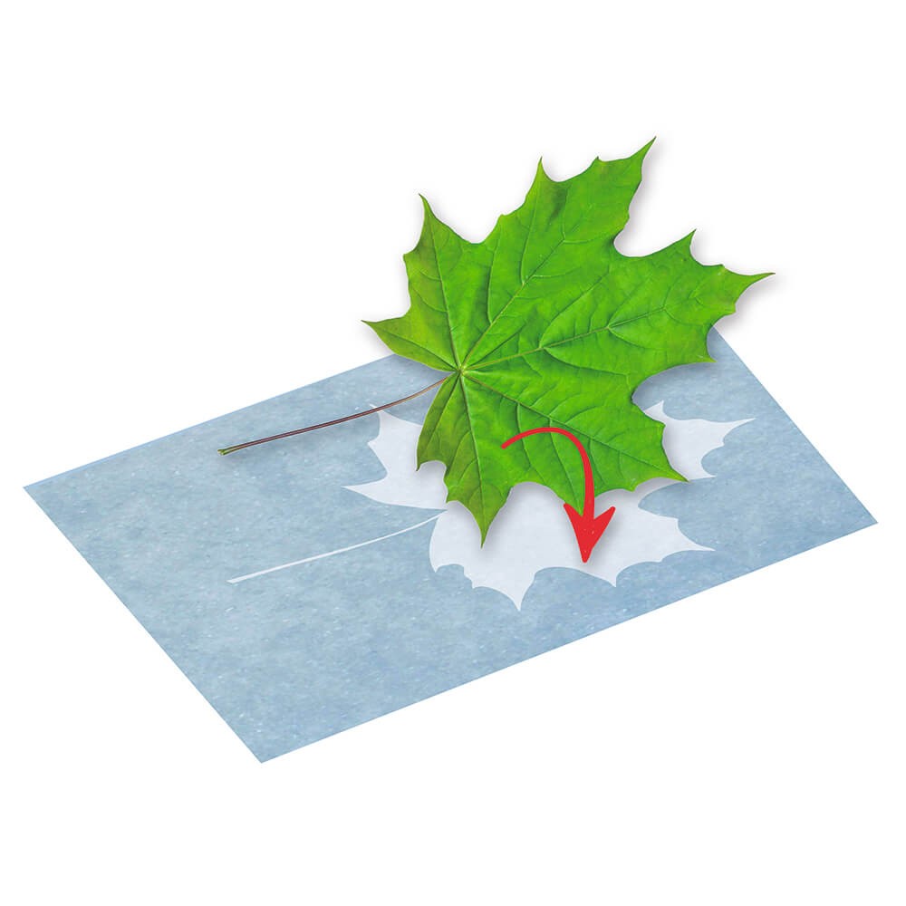 Papek para impresión solar