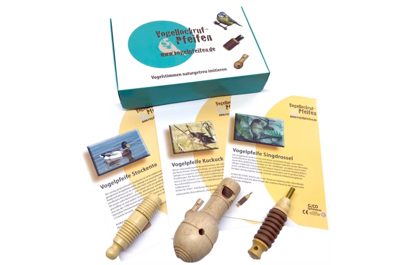 Tres xiulets d'ocell (tord comú, ànec real i cucut