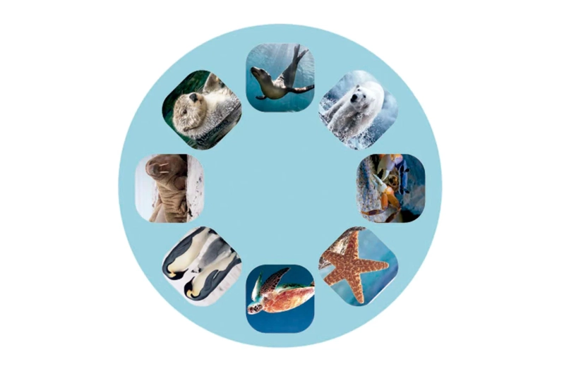 Linterna proyectora criaturas marinas