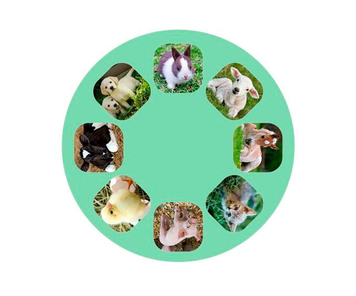 Llanterna projectora animals nadons