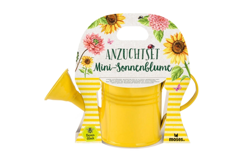 Set de cultivo de girasoles