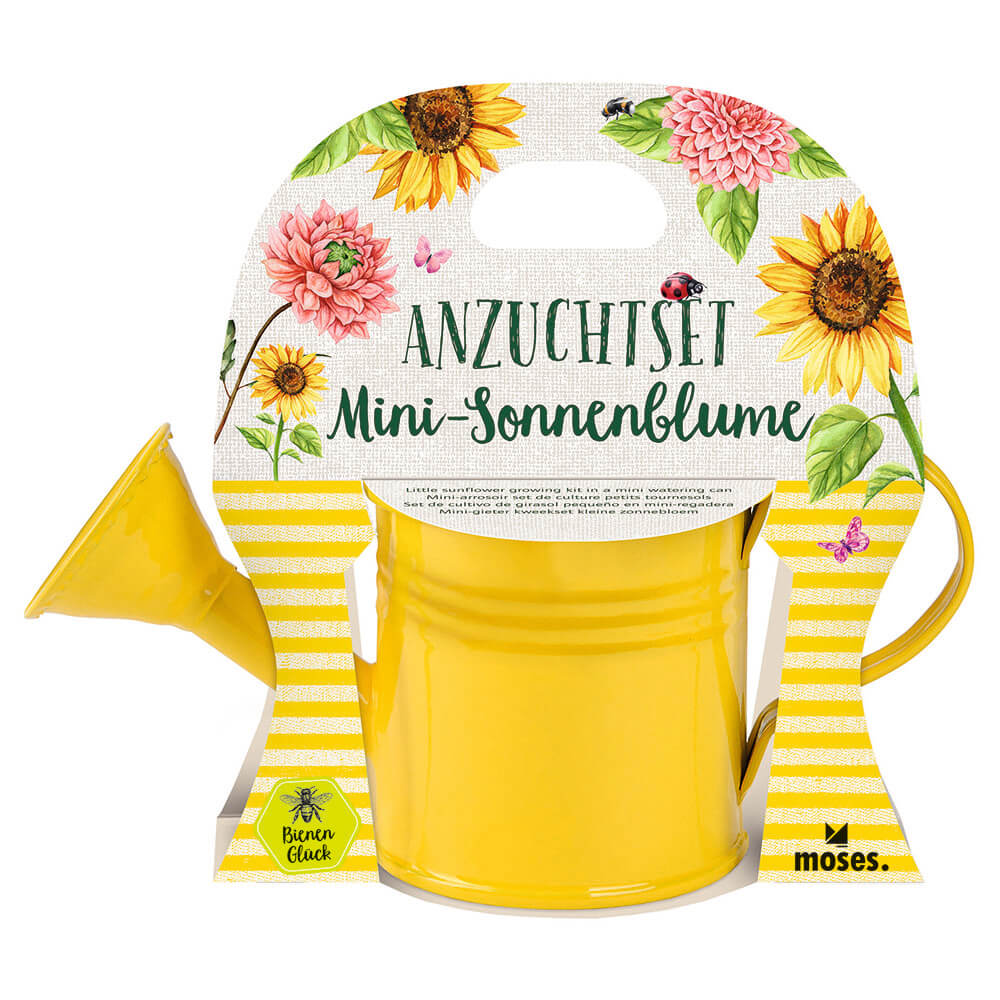 Set de cultivo de girasoles