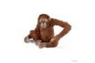 Orangután femella Schleich
