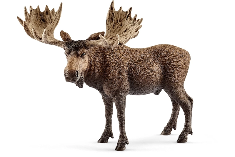 Alce macho Schleich