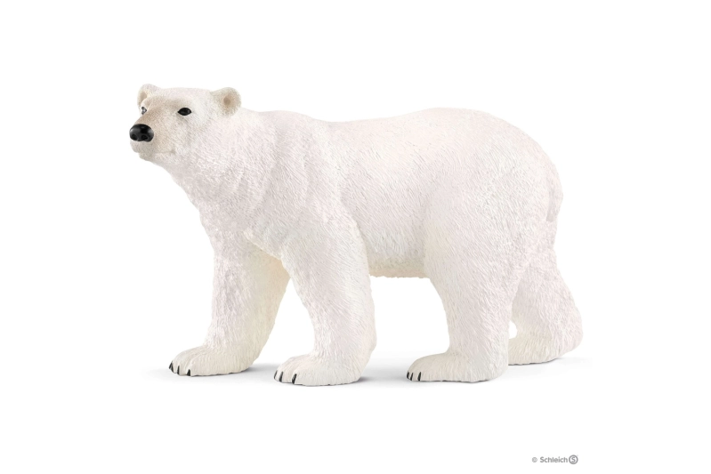 Os polar Schleich