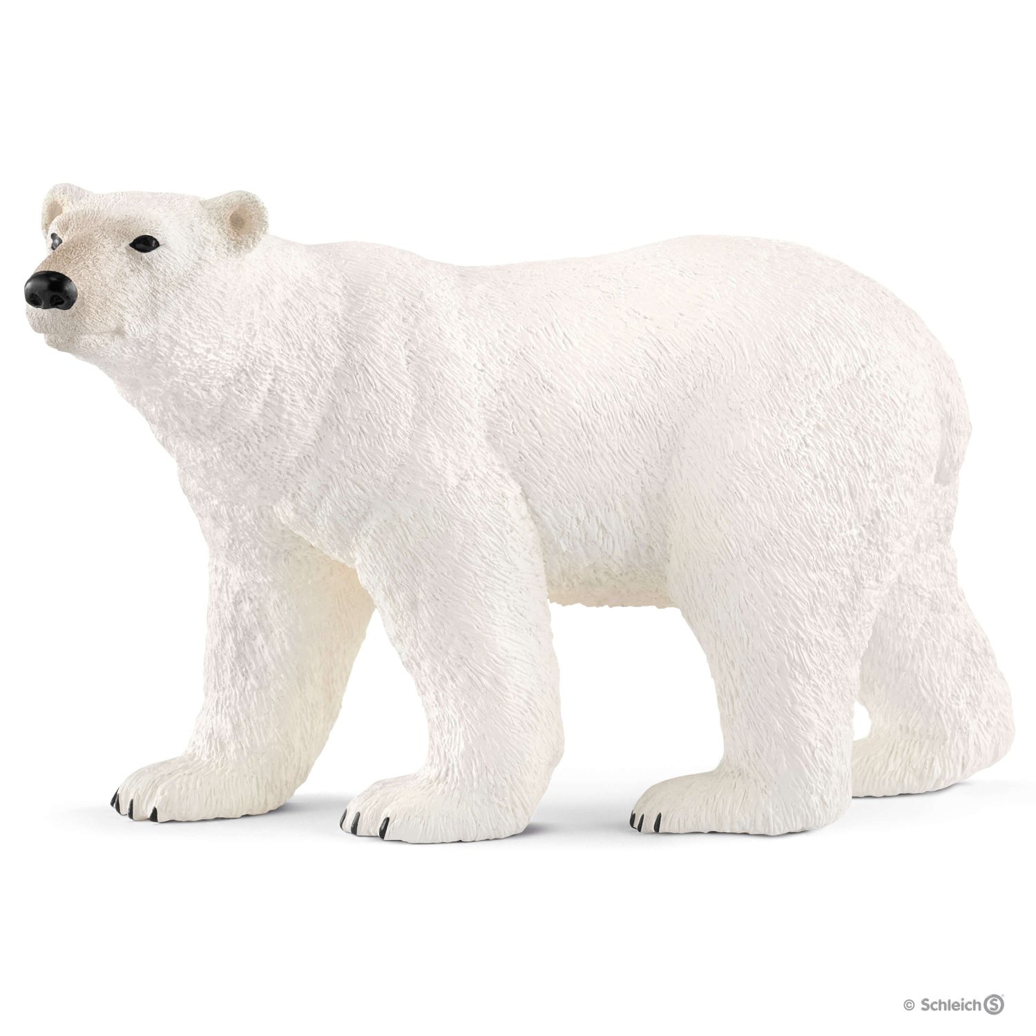 Os polar Schleich