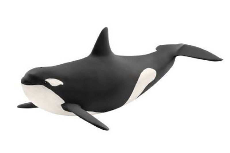 ORCA SCHLEICH