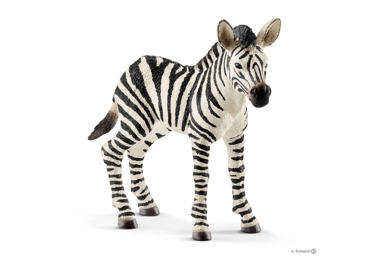 Cría zebra Schleich