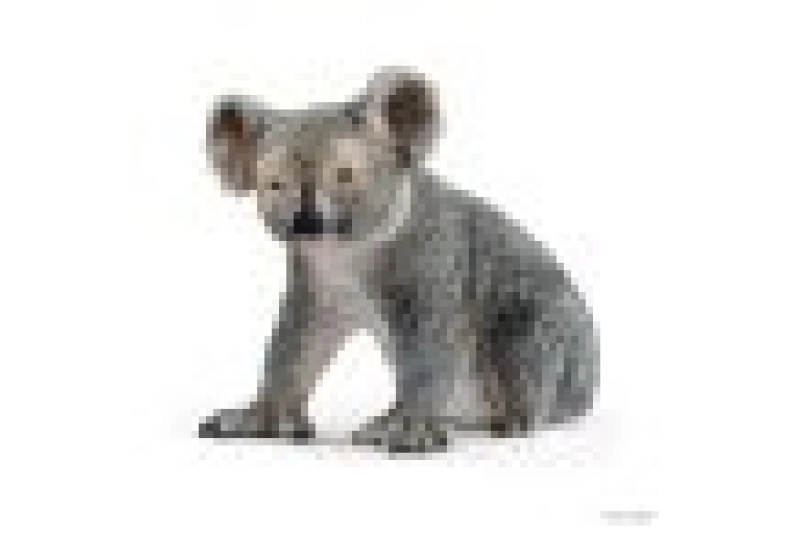 Koala macho Schleich